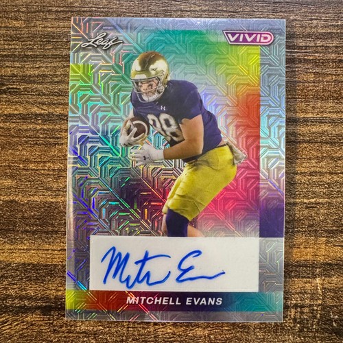 2024 leaf vivid mitchell - leaf,